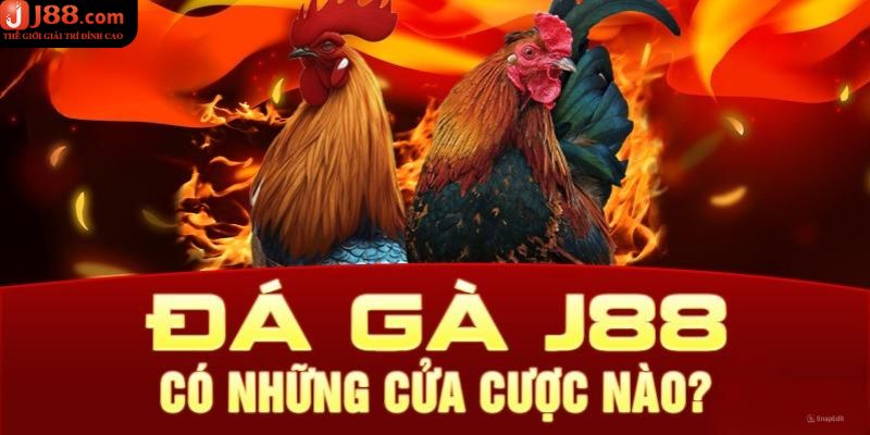 Đá gà J88